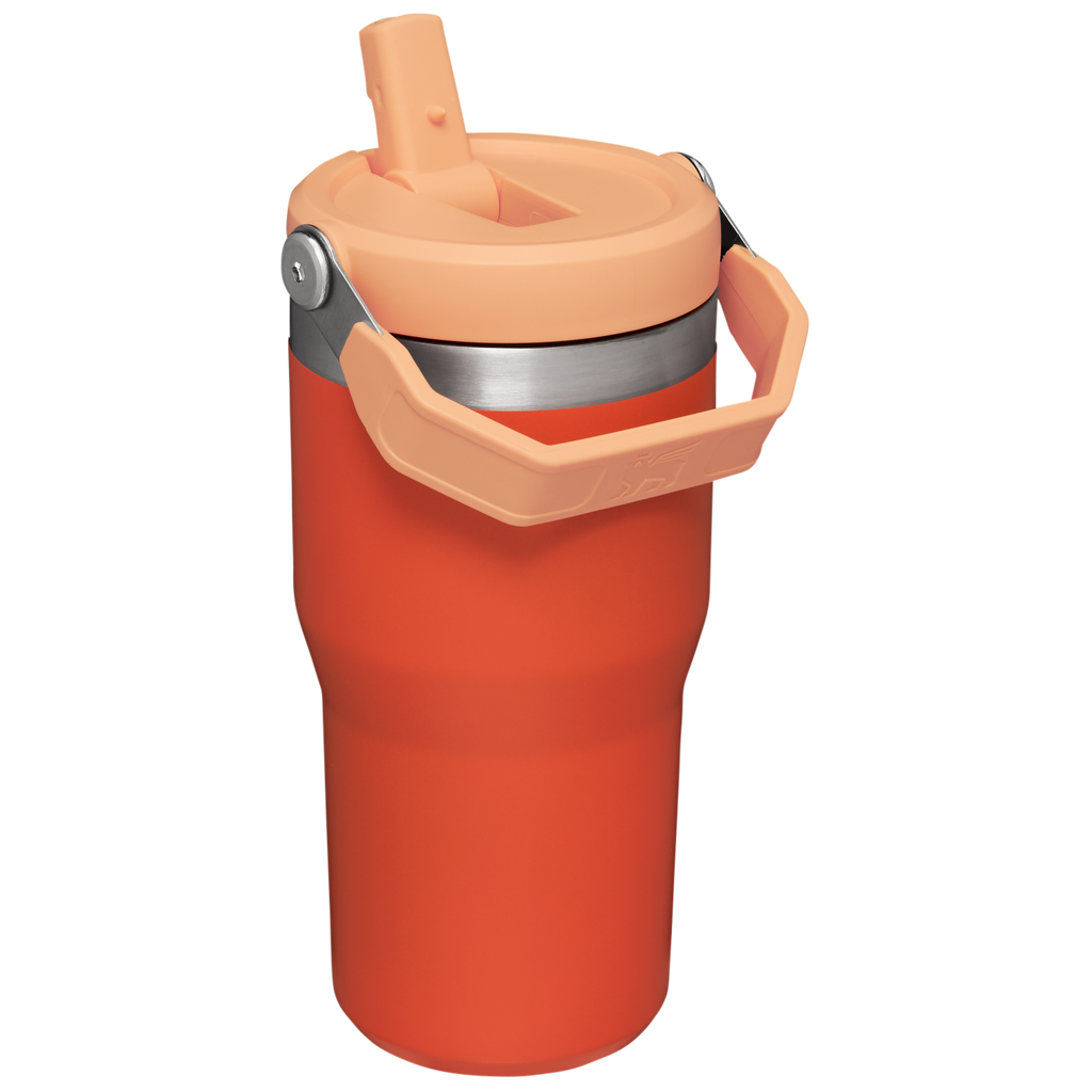 The IceFlow™ Flip Straw Tumbler | 20 OZ - Stanley1913 Daily Sip