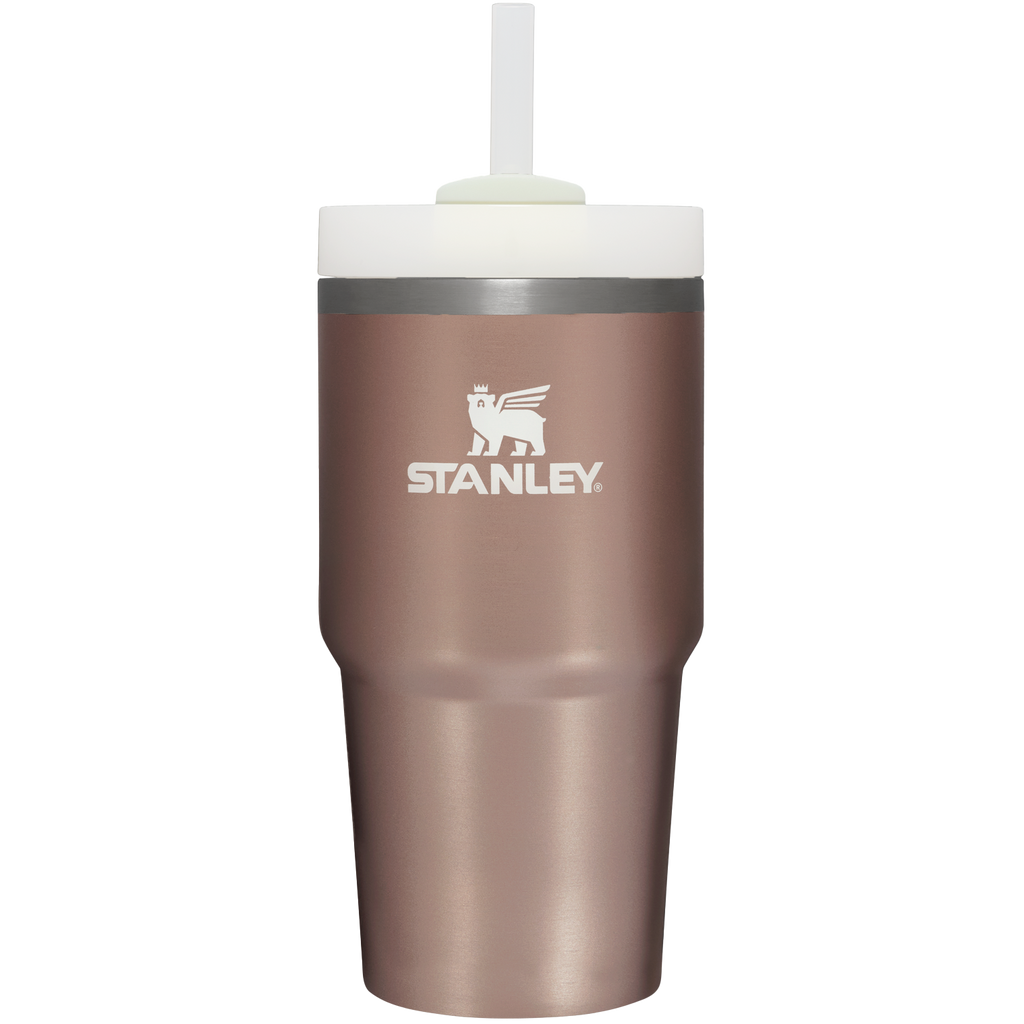 The Quencher H2.0 FlowState™ Tumbler | 20 OZ - One Stanley Daily