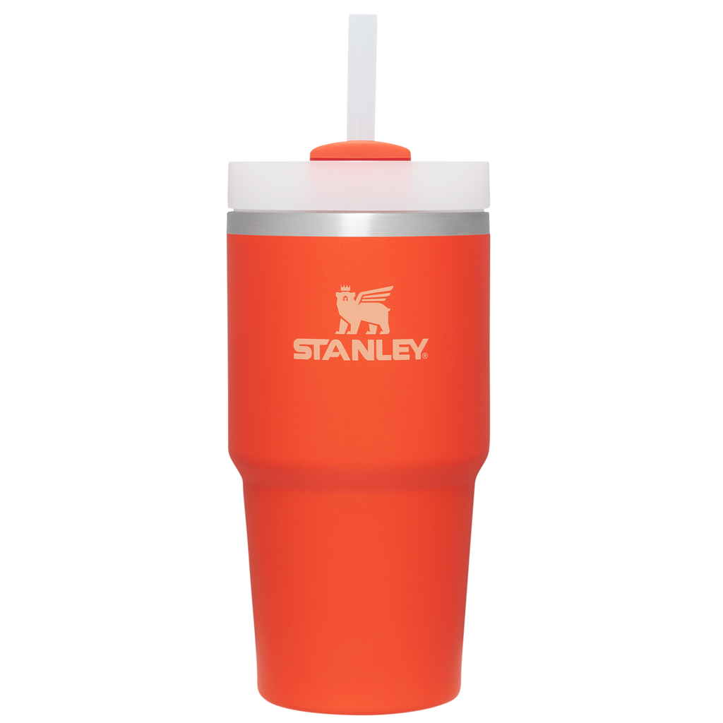 The Quencher H2.0 FlowState™ Tumbler | 20 OZ - One Stanley Daily