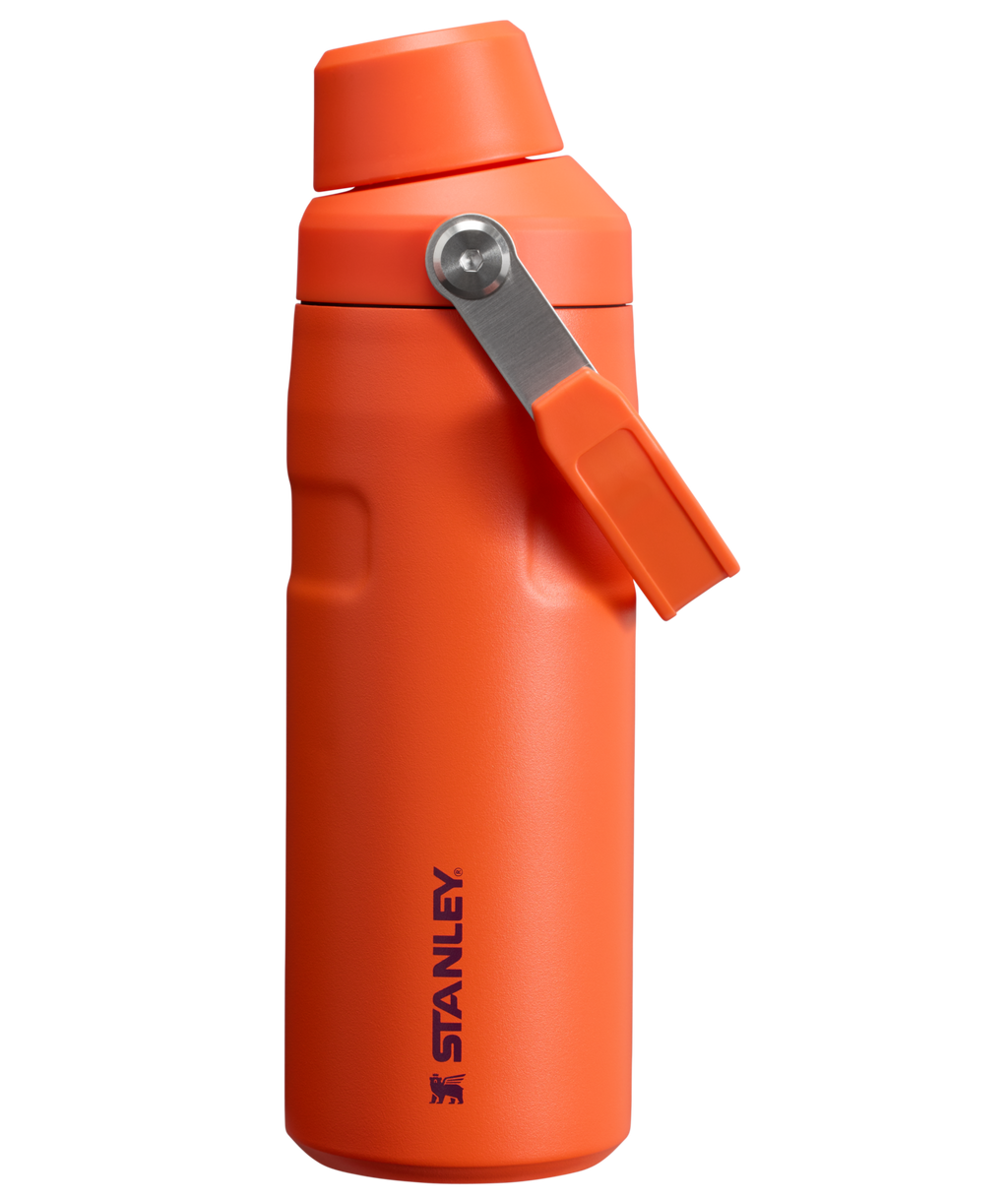 IceFlow™ Bottle with Fast Flow Lid | 16 OZ - Daily Hydration Choice