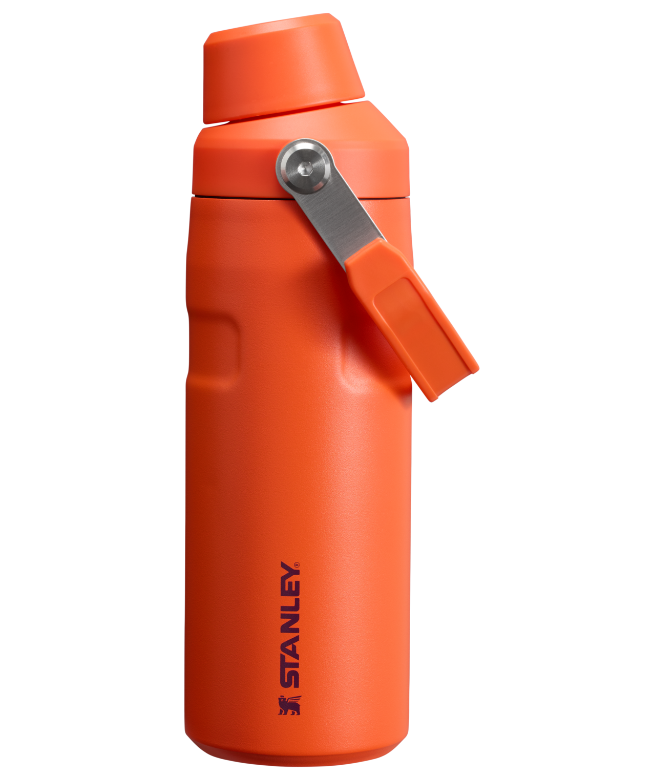IceFlow™ Bottle with Fast Flow Lid | 16 OZ - Daily Hydration Choice
