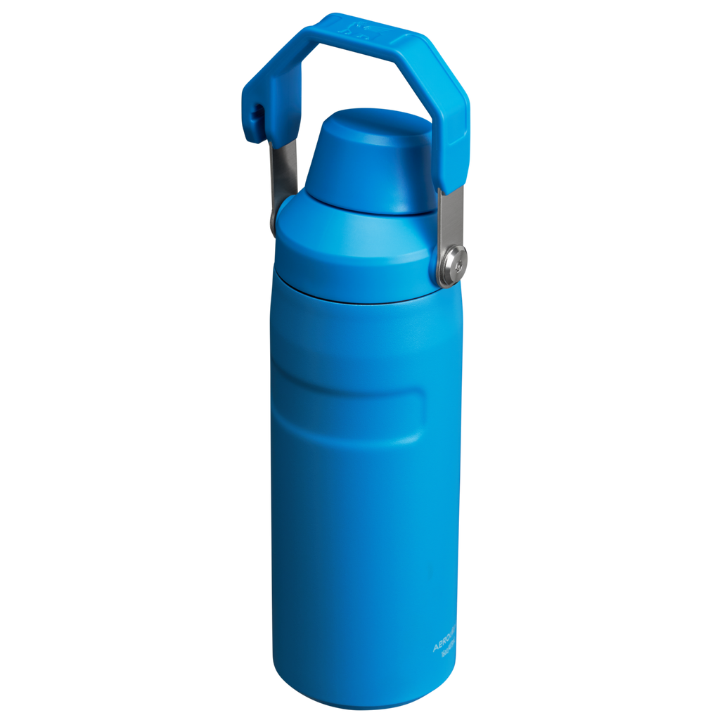 IceFlow™ Bottle with Fast Flow Lid | 16 OZ - Daily Hydration Choice