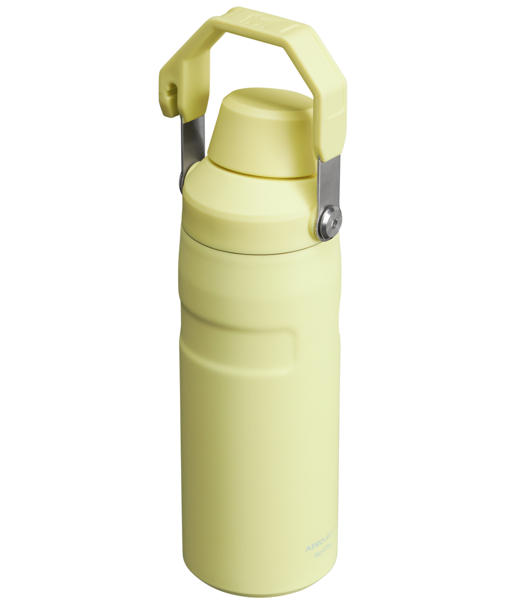 IceFlow™ Bottle with Fast Flow Lid | 16 OZ - Daily Hydration Choice
