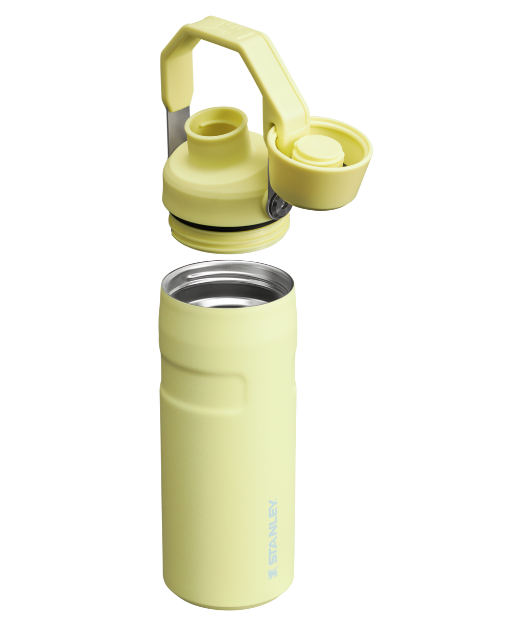 IceFlow™ Bottle with Fast Flow Lid | 16 OZ - Daily Hydration Choice