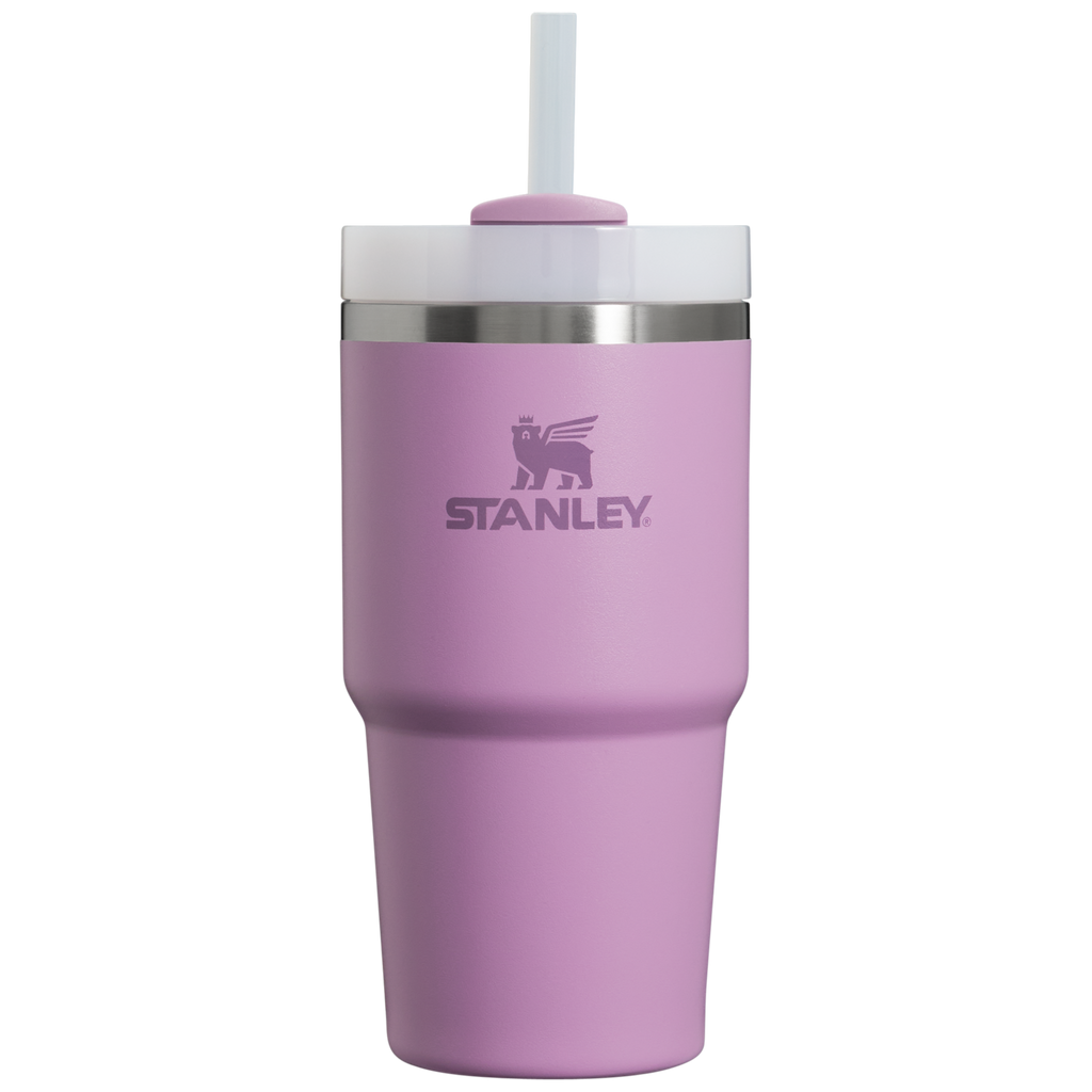 The Quencher H2.0 FlowState™ Tumbler | 20 OZ - Stanley Create - Daily Sip Essential