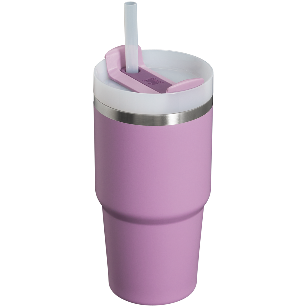 The Quencher H2.0 FlowState™ Tumbler | 20 OZ - One Stanley Daily
