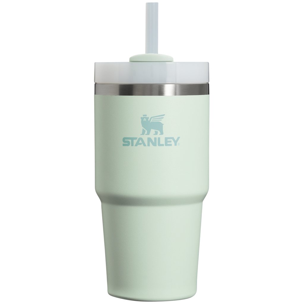 The Quencher H2.0 FlowState™ Tumbler | 20 OZ - One Stanley Daily