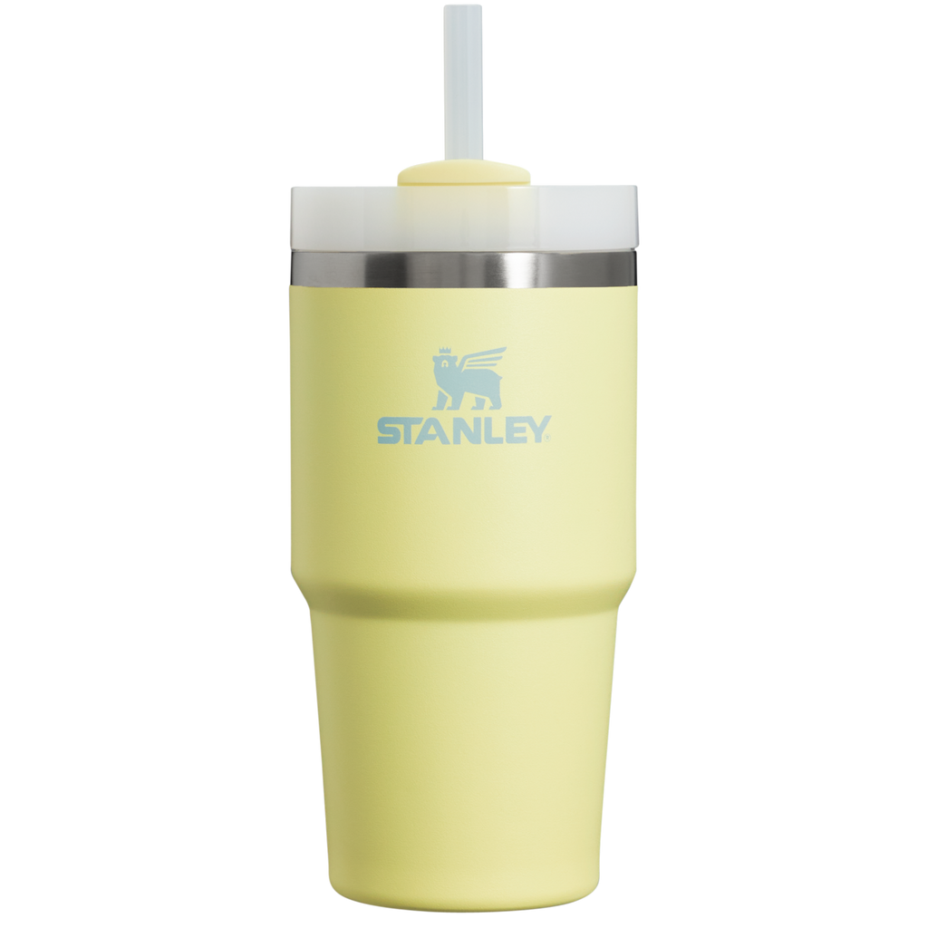 The Quencher H2.0 FlowState™ Tumbler | 20 OZ - Stanley Create - Daily Sip Essential