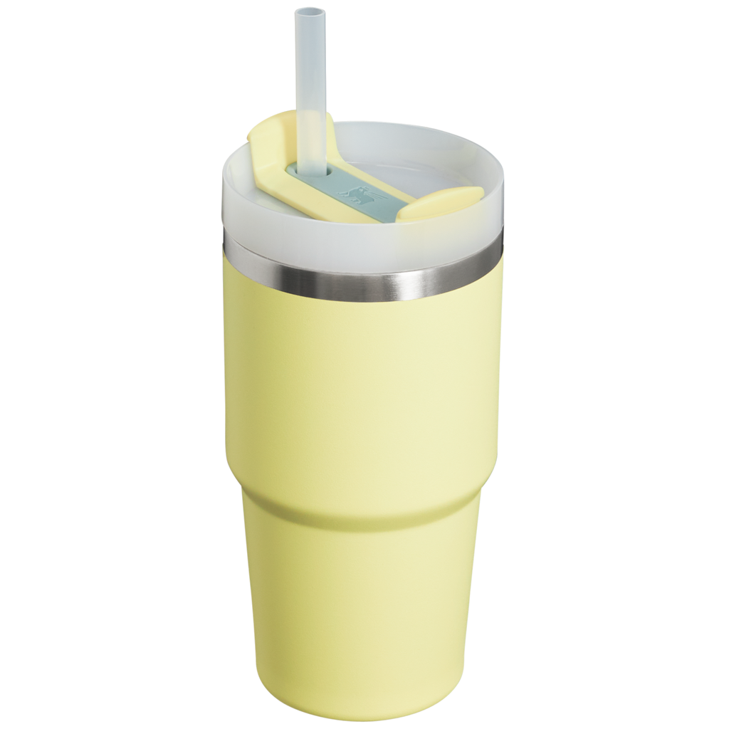 The Quencher H2.0 FlowState™ Tumbler | 20 OZ - One Stanley Daily