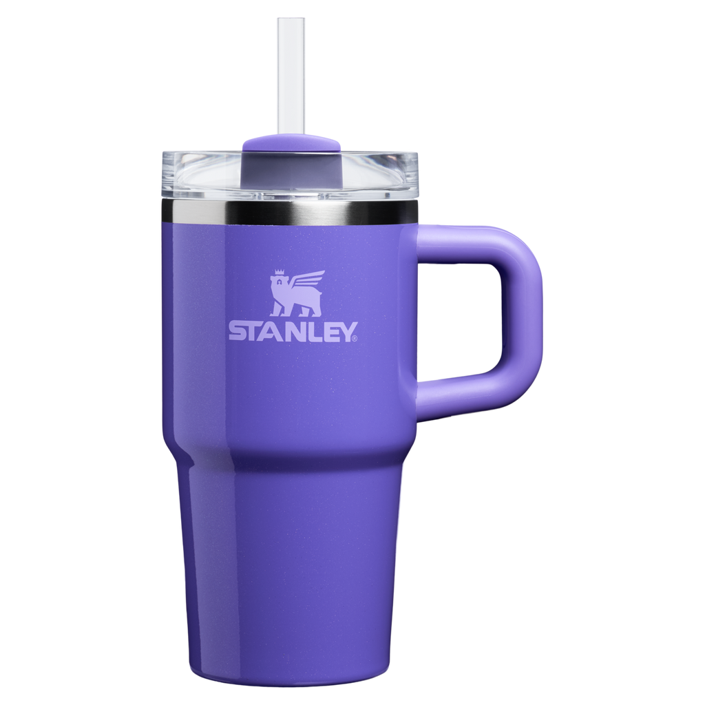 The Quencher H2.O FlowState™ Tumbler with Handle | 20 OZ - Stanley Create - Ready for Walks