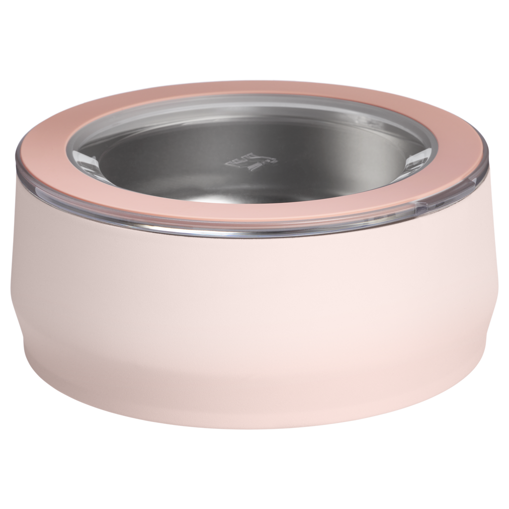 The Stanley Pet Bowl | 3-cup | 24 OZ - Stanley Create - Water Ready Daily