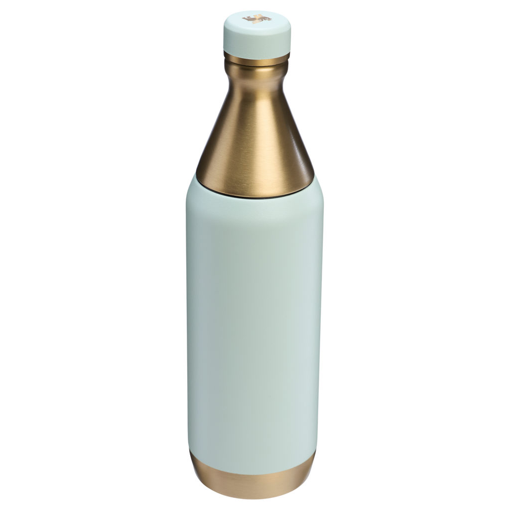 All Day Slim Bottle | 20 OZ - Stanley Create - Made for Plans