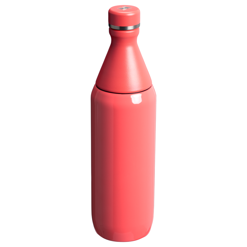 All Day Slim Bottle | 20 OZ - Stanley Create - Made for Plans