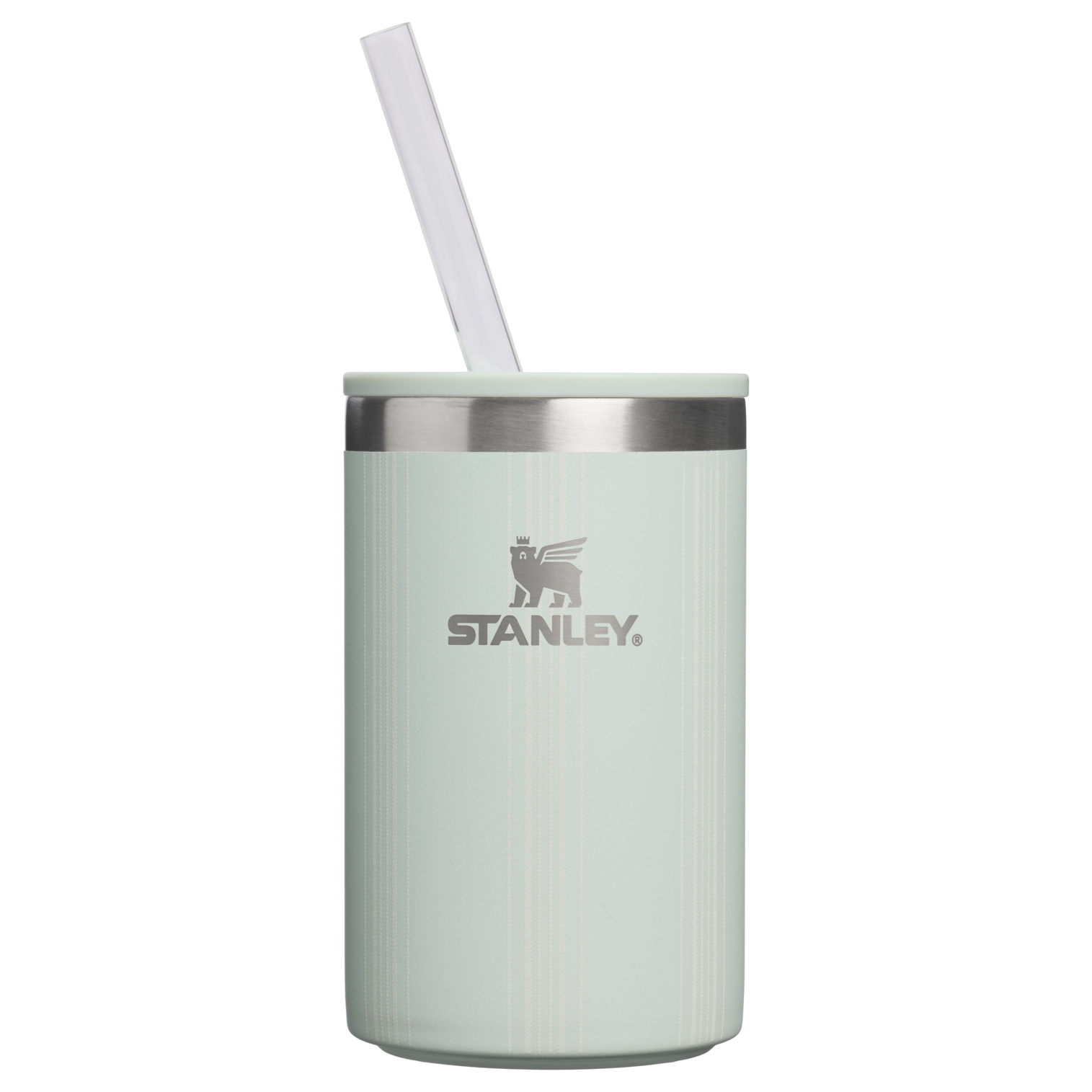 The Everyday Can Cooler Cup | 10 OZ - Everyday Cup Gear