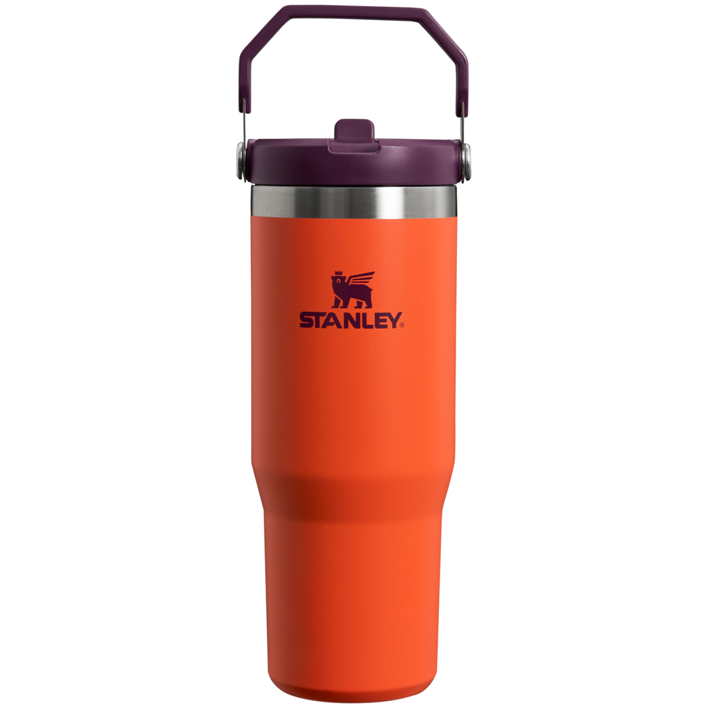 The IceFlow™ Flip Straw Tumbler | 30 OZ - Your Everyday Tumbler