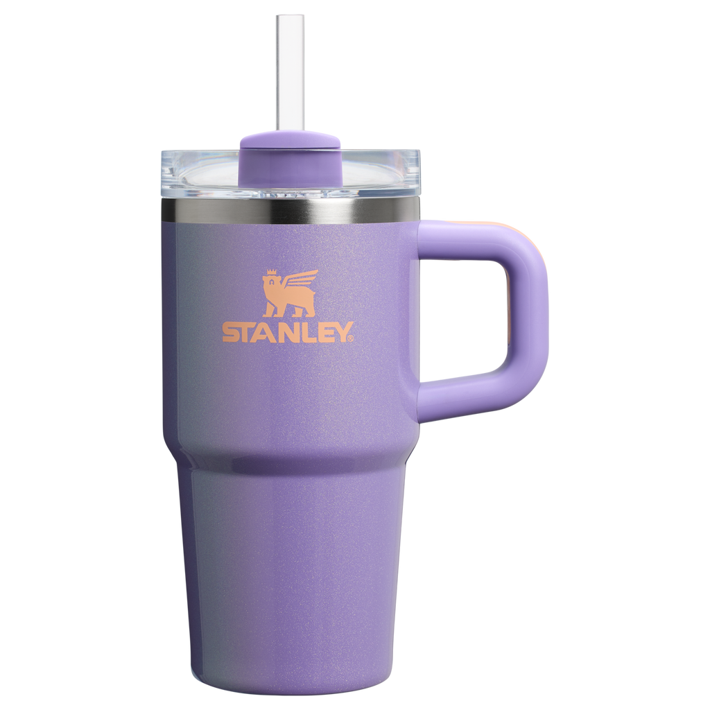 The Quencher H2.O FlowState™ Tumbler with Handle | 20 OZ - Stanley Create - Ready for Walks