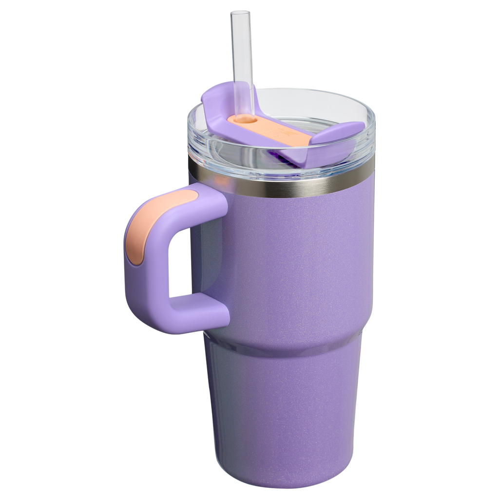 The Quencher H2.O FlowState™ Tumbler with Handle | 20 OZ - Stanley Create - Ready for Walks