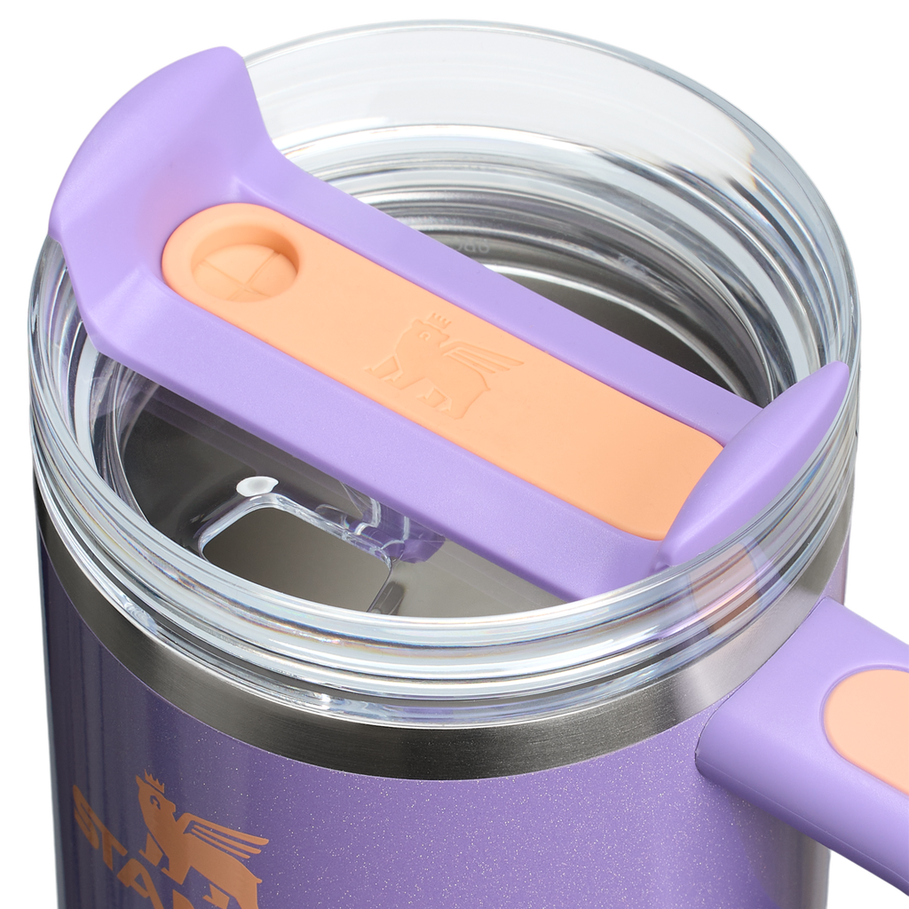 The Quencher H2.O FlowState™ Tumbler with Handle | 20 OZ - Stanley Create - Ready for Walks