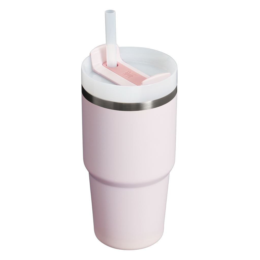 The Quencher H2.0 FlowState™ Tumbler | 20 OZ - One Stanley Daily