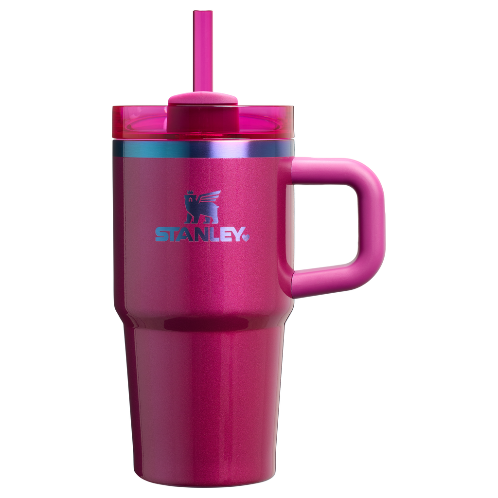 The Quencher H2.O FlowState™ Tumbler with Handle | 20 OZ - Stanley Create - Ready for Walks