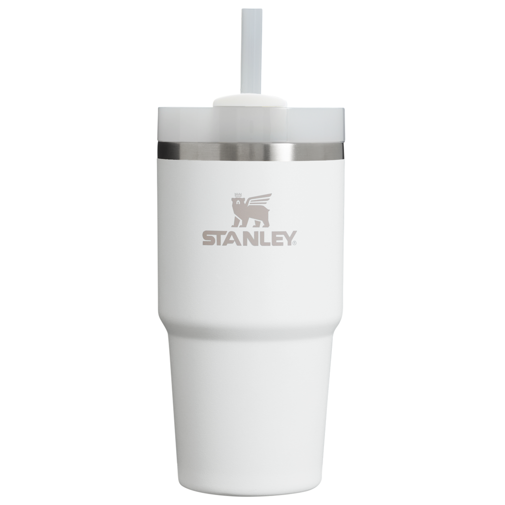 The Quencher H2.0 FlowState™ Tumbler | 20 OZ - One Stanley Daily