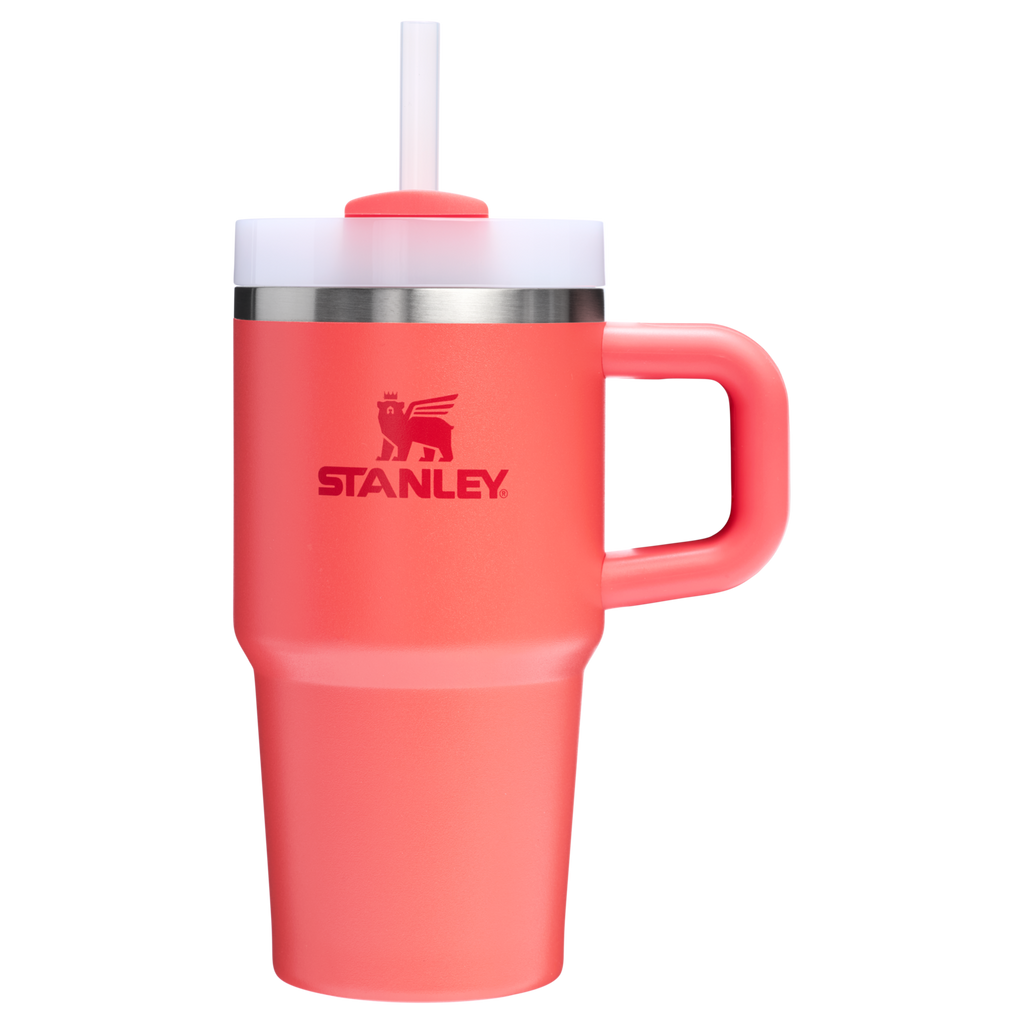 The Quencher H2.O FlowState™ Tumbler with Handle | 20 OZ - Stanley Create - Ready for Walks