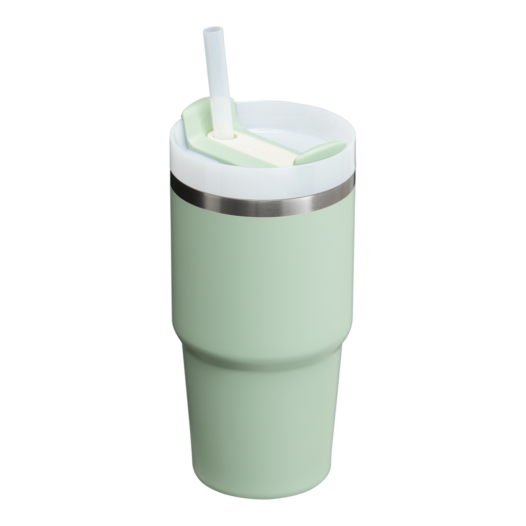 The Quencher H2.0 FlowState™ Tumbler | 20 OZ - One Stanley Daily
