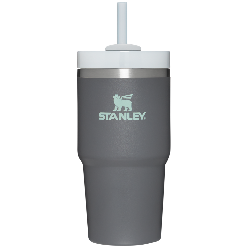 The Quencher H2.0 FlowState™ Tumbler | 20 OZ - One Stanley Daily