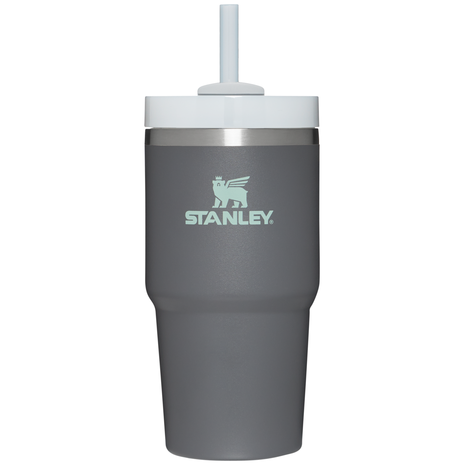 The Quencher H2.0 FlowState™ Tumbler | 20 OZ - One Stanley Daily