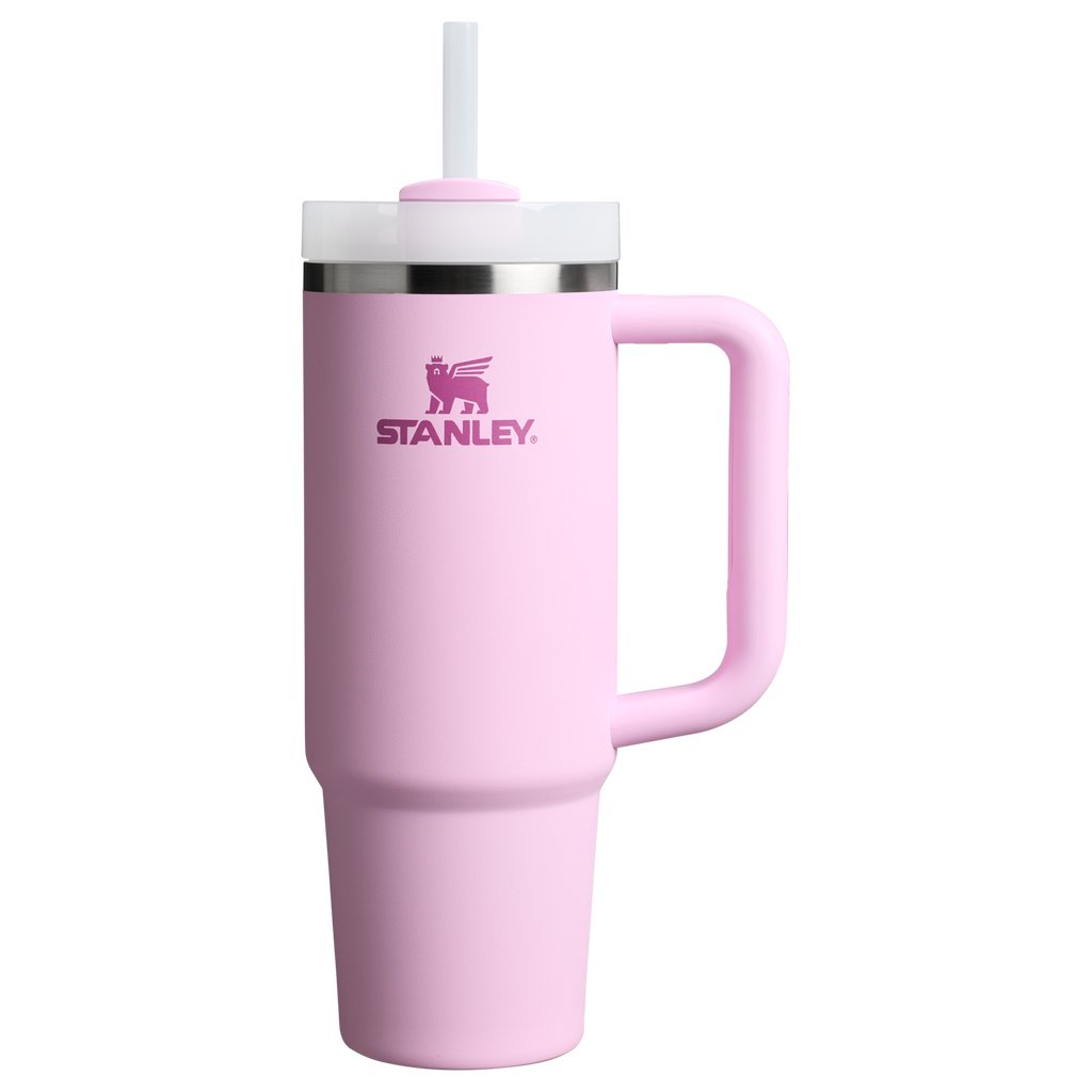 The Quencher H2.0 FlowState™ Tumbler | 20 OZ - One Stanley Daily