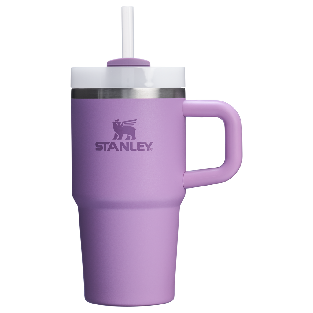 The Quencher H2.O FlowState™ Tumbler with Handle | 20 OZ - Stanley Create - Ready for Walks