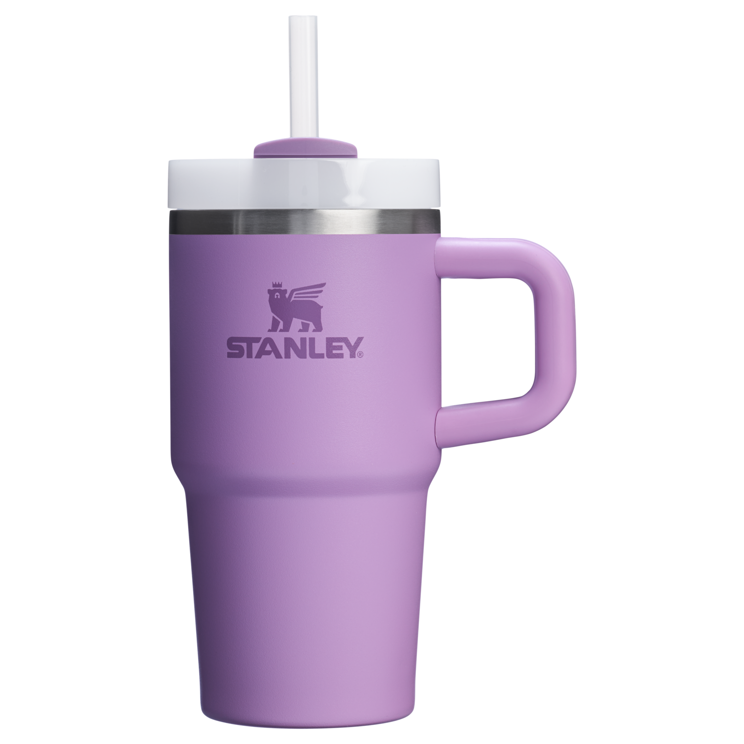 The Quencher H2.O FlowState™ Tumbler with Handle | 20 OZ - Stanley Create - Ready for Walks