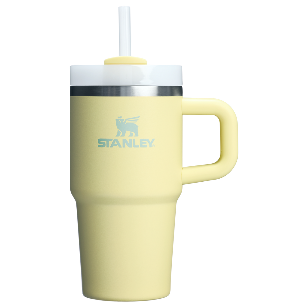 The Quencher H2.O FlowState™ Tumbler with Handle | 20 OZ - Stanley Create - Ready for Walks