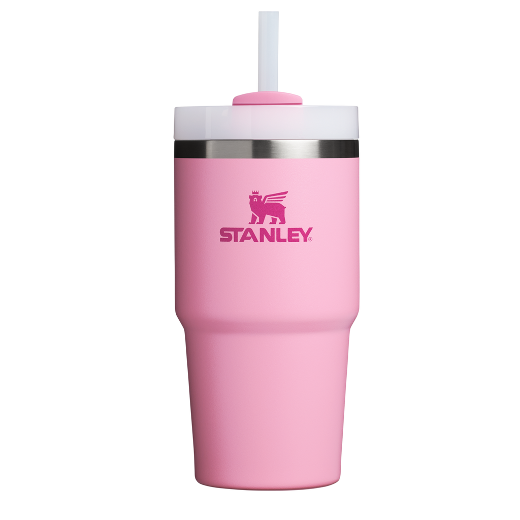 The Quencher H2.0 FlowState™ Tumbler | 20 OZ - One Stanley Daily