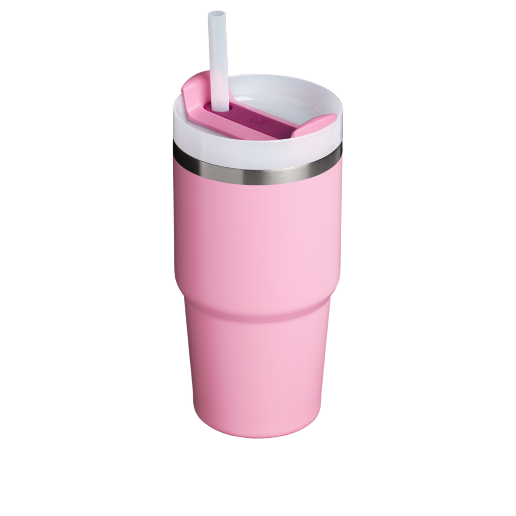 The Quencher H2.0 FlowState™ Tumbler | 20 OZ - Stanley Create - Daily Sip Essential