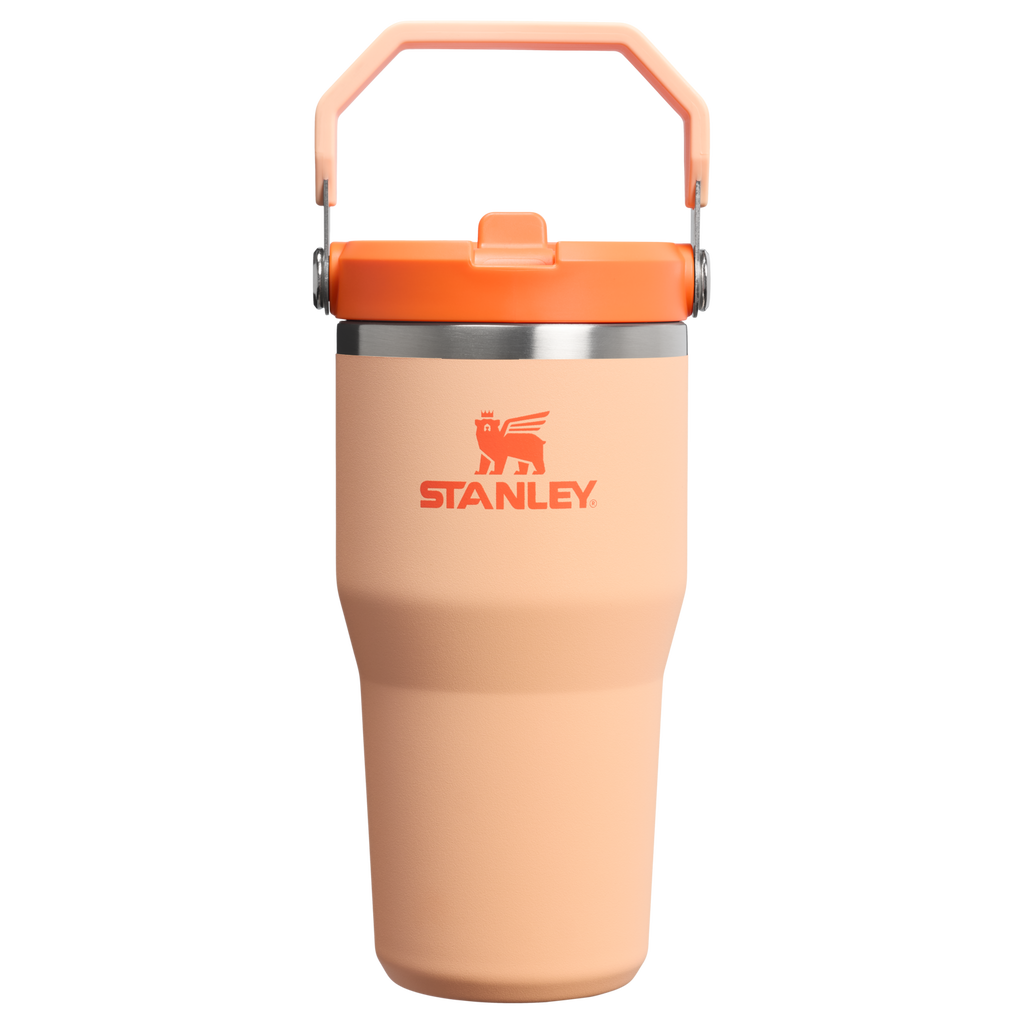 The IceFlow™ Flip Straw Tumbler | 20 OZ - Stanley1913 Daily Sip