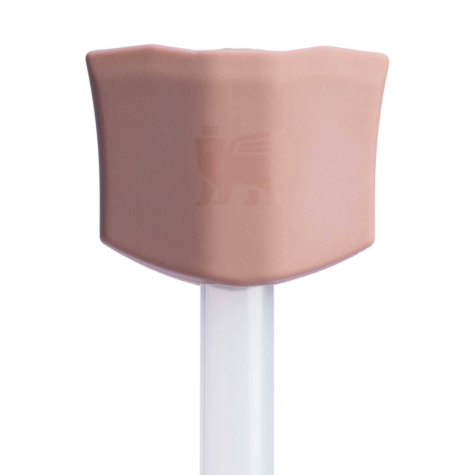 The Stay Smooth Straw Topper | 2-pack - Hydration Within Reach