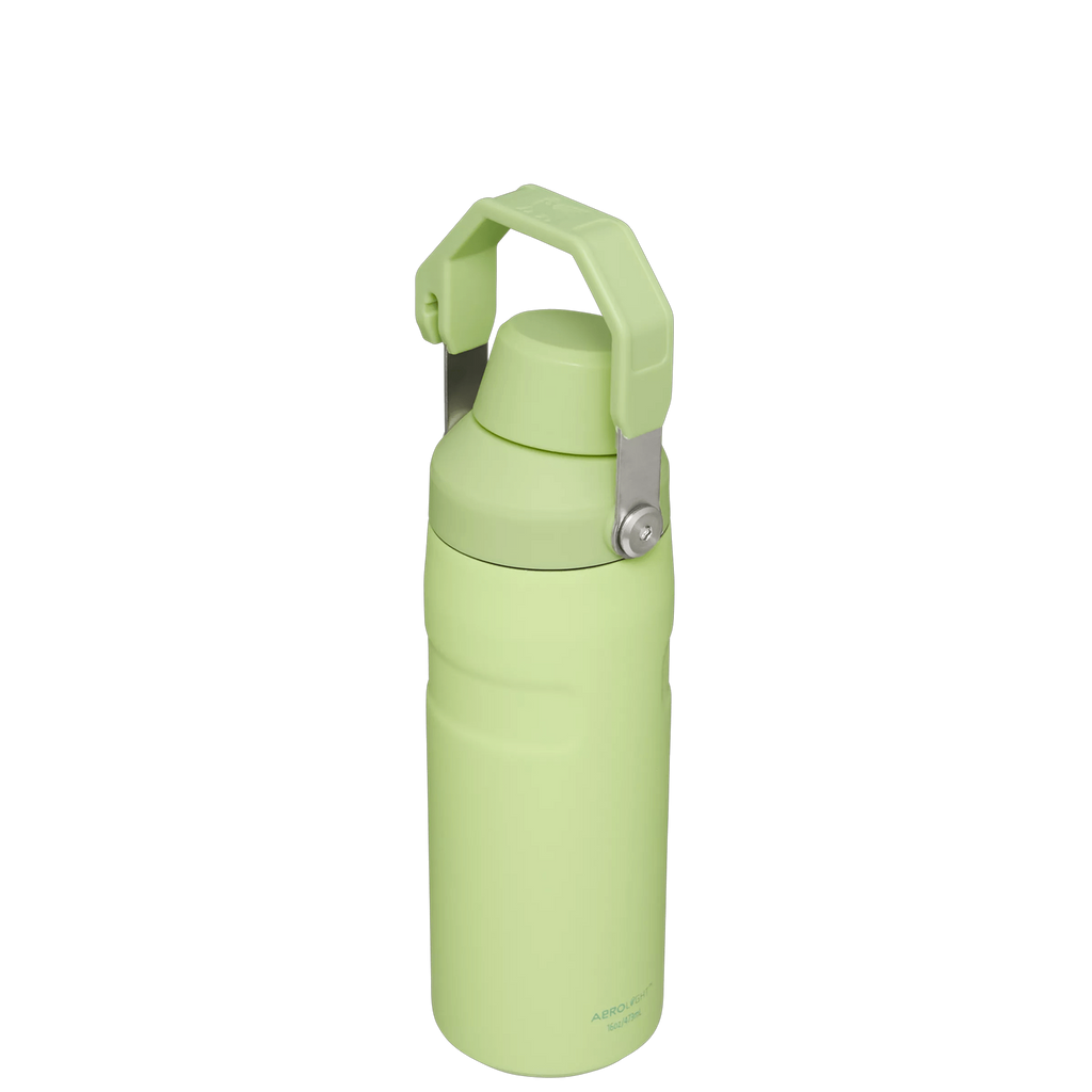 IceFlow™ Bottle with Fast Flow Lid | 16 OZ - Daily Hydration Choice