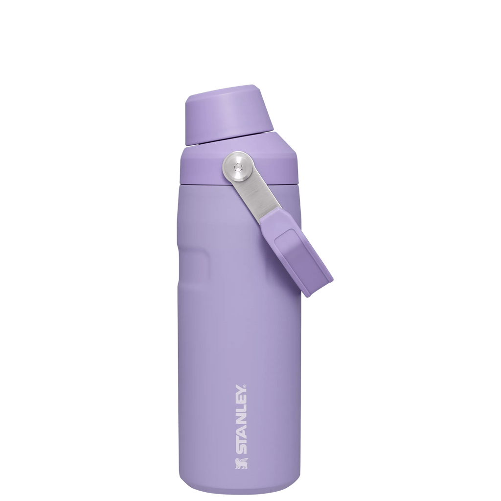 IceFlow™ Bottle with Fast Flow Lid | 16 OZ - Daily Hydration Choice