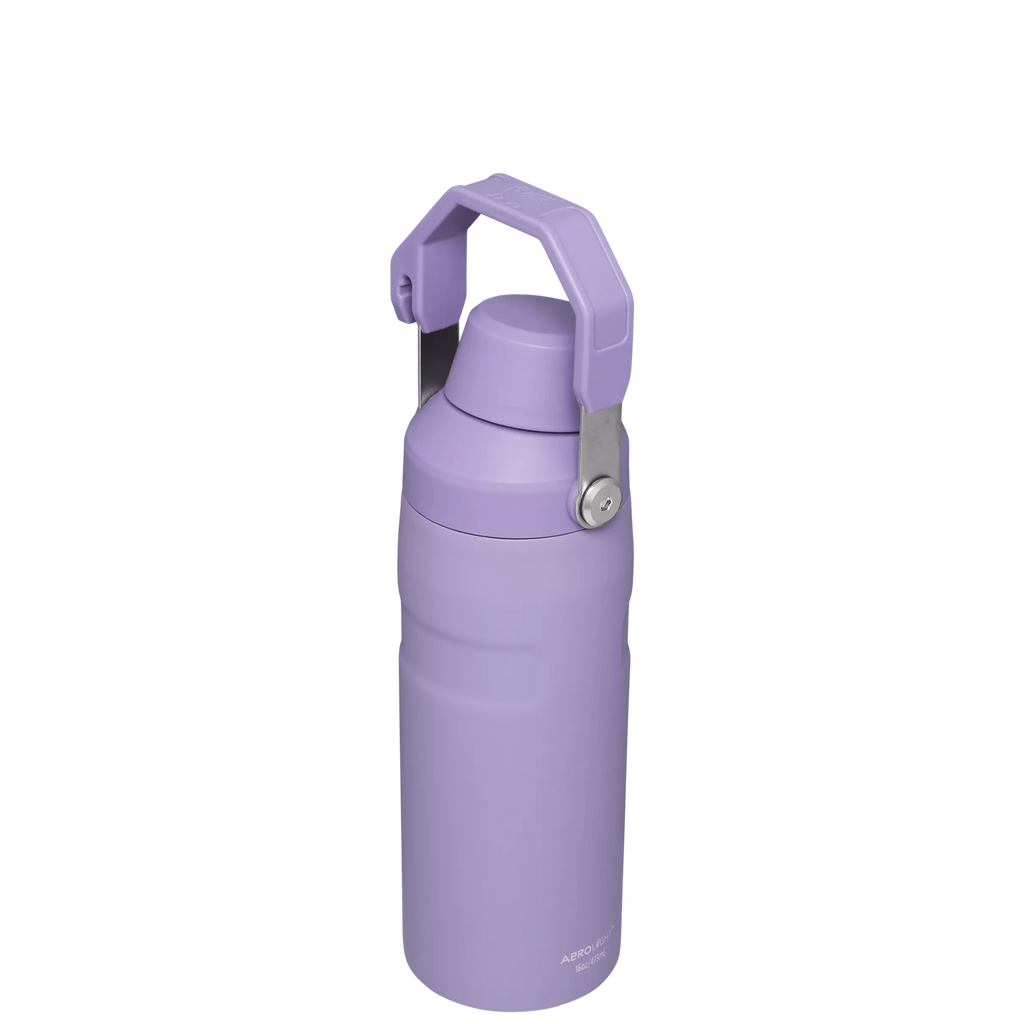 IceFlow™ Bottle with Fast Flow Lid | 16 OZ - Daily Hydration Choice