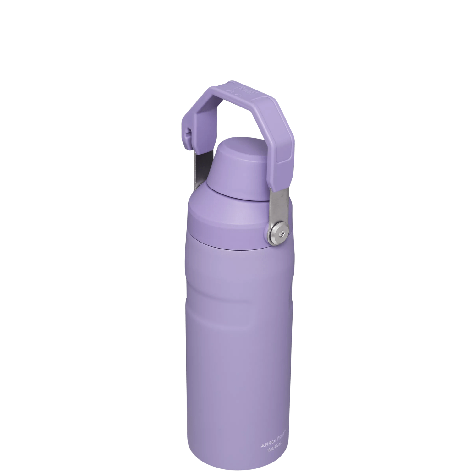 IceFlow™ Bottle with Fast Flow Lid | 16 OZ - Daily Hydration Choice