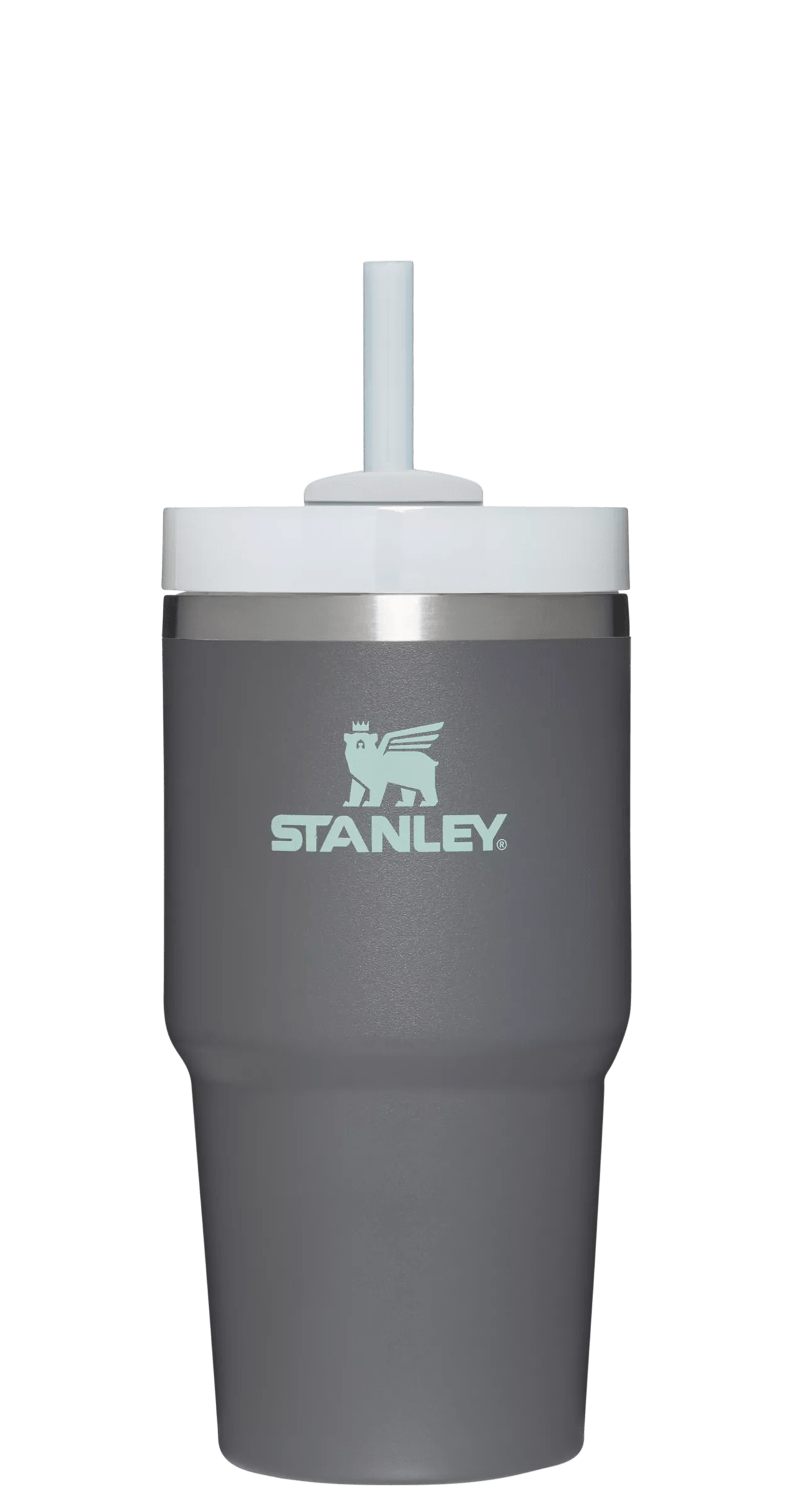 The Quencher H2.0 FlowState™ Tumbler | 20 OZ - One Stanley Daily