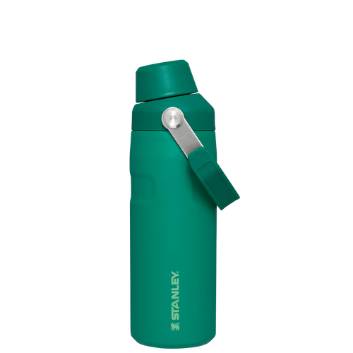 IceFlow™ Bottle with Fast Flow Lid | 16 OZ - Daily Hydration Choice