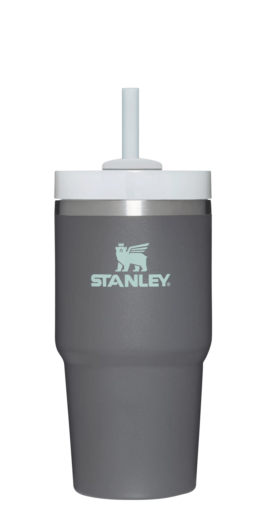 The Quencher H2.0 FlowState™ Tumbler | 20 OZ - Stanley Create - Daily Sip Essential