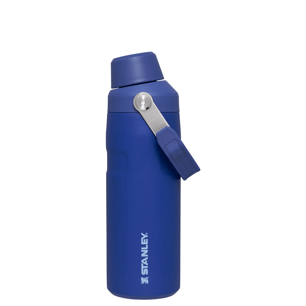 IceFlow™ Bottle with Fast Flow Lid | 16 OZ - Daily Hydration Choice