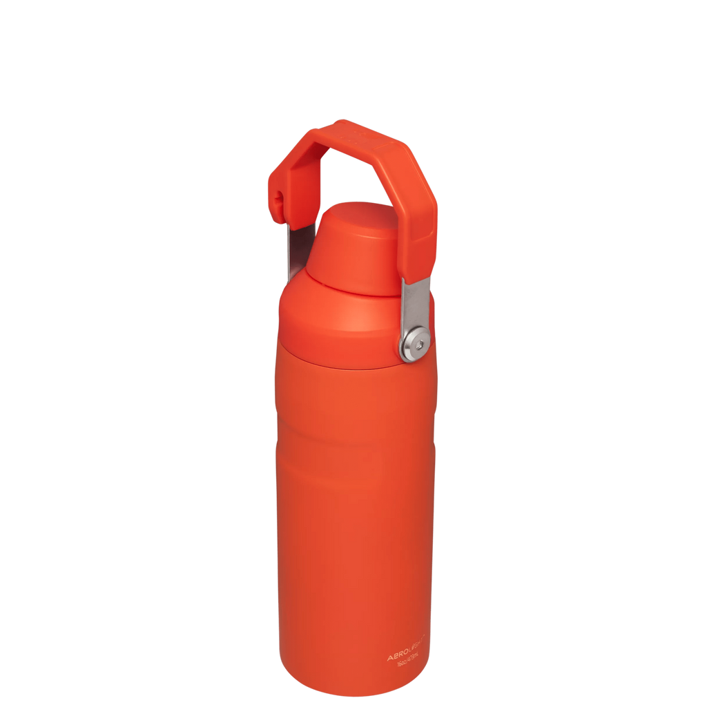 IceFlow™ Bottle with Fast Flow Lid | 16 OZ - Daily Hydration Choice
