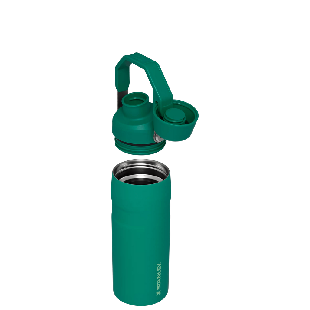 IceFlow™ Bottle with Fast Flow Lid | 16 OZ - Daily Hydration Choice