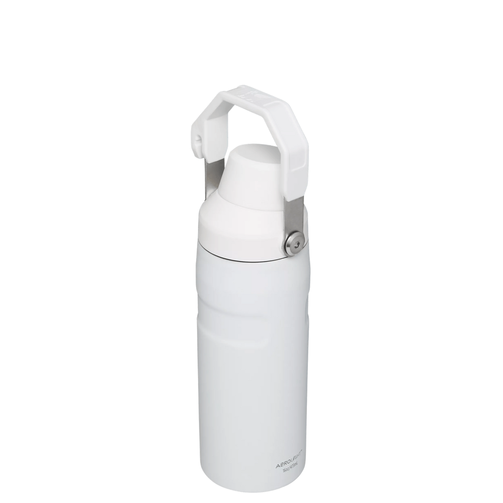 IceFlow™ Bottle with Fast Flow Lid | 16 OZ - Daily Hydration Choice