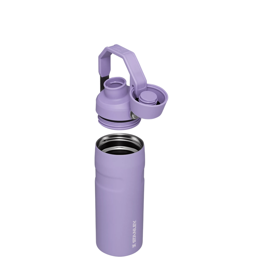 IceFlow™ Bottle with Fast Flow Lid | 16 OZ - Daily Hydration Choice