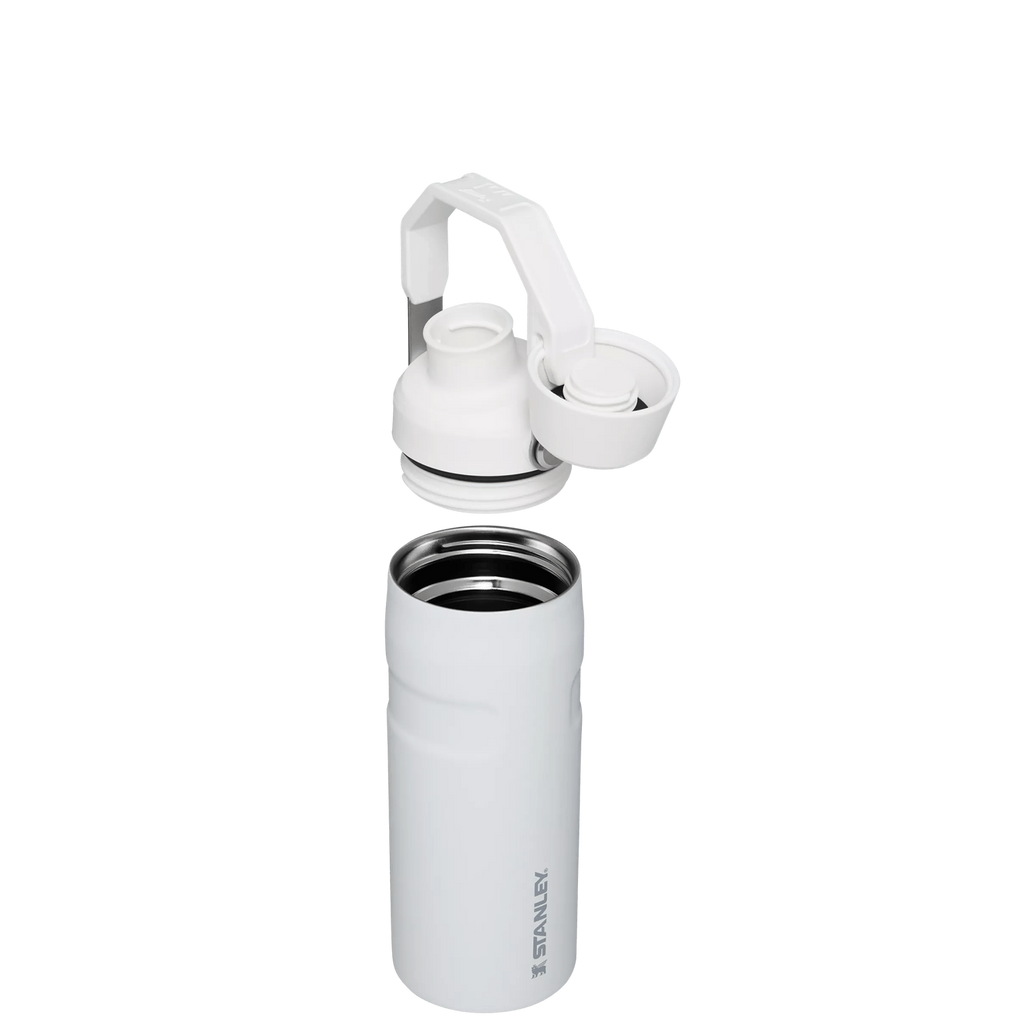 IceFlow™ Bottle with Fast Flow Lid | 16 OZ - Daily Hydration Choice